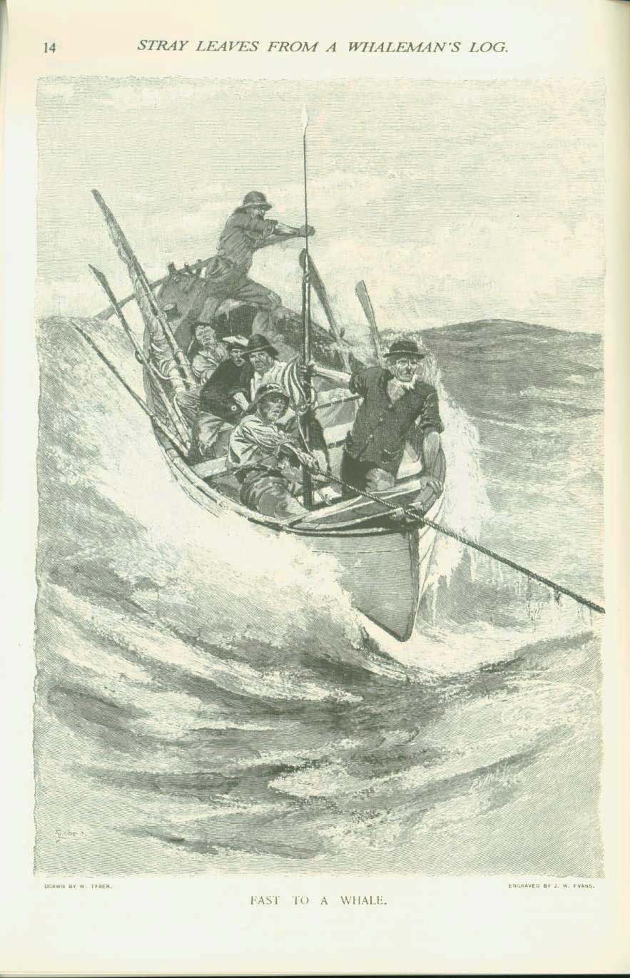 19th century whaling tales. vist0089f